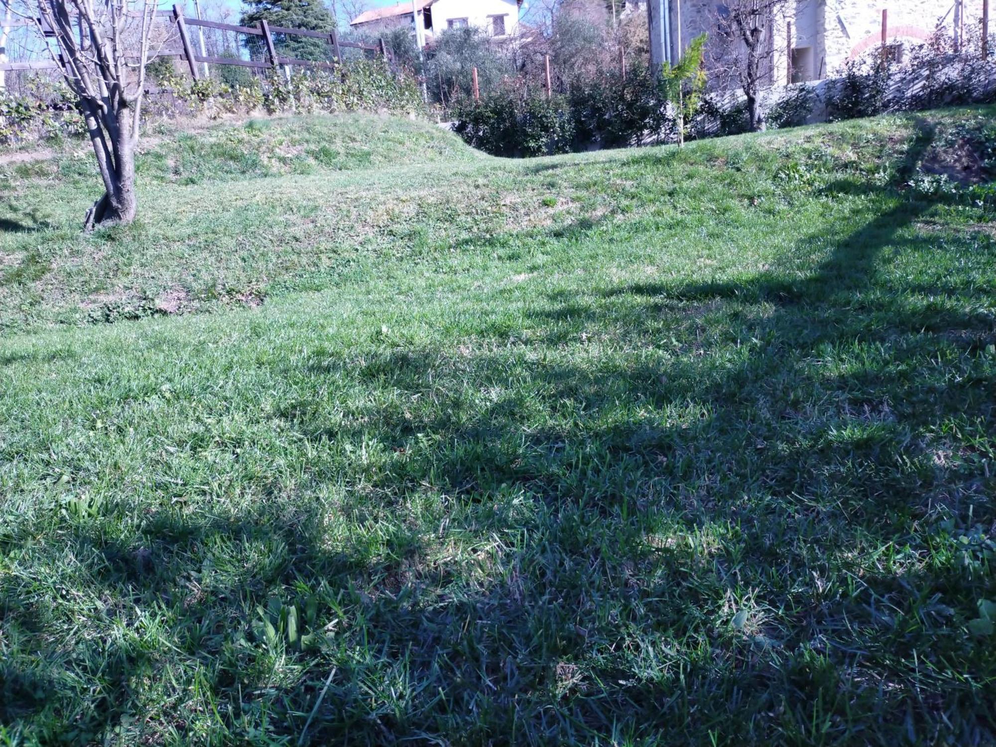 Stella La Tana Della Volpetta - Bed & Breakfast المظهر الخارجي الصورة